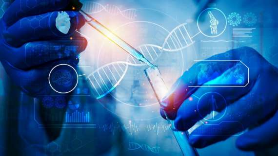 Se convoca proceso selectivo para ingresar en la Escala de Ayudantes de Investigación de los Organismos Públicos de Investigación.